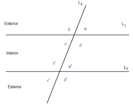 Angles in parallel and transverse lines