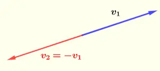  two parallel and therefore dependent vectors