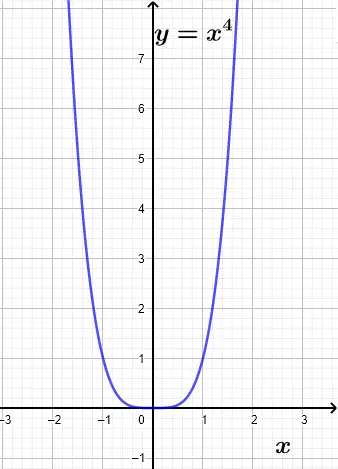 Plot of y = x^4