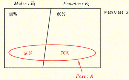 diagram of class with males and females